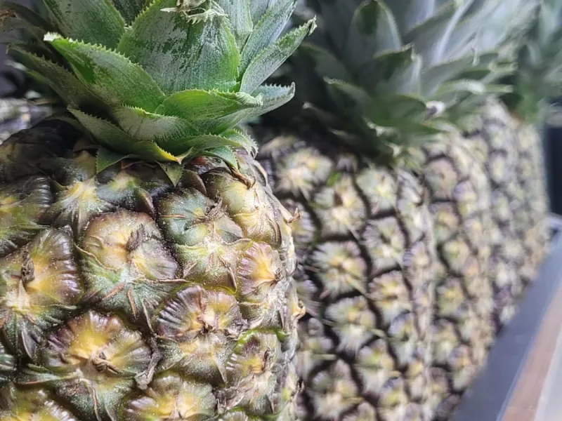 Abacaxi pérola fresco no Hortifruti Fuad em Pirituba