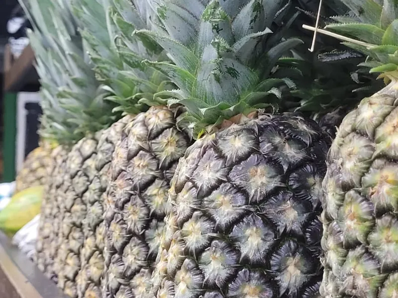 Abacaxi pérola fresquinho no Hortifruti Fuad em Pirituba