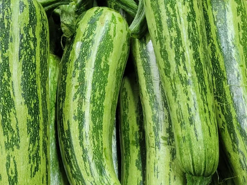 Abobrinha italiana fresca no Hortifruti Fuad em Pirituba