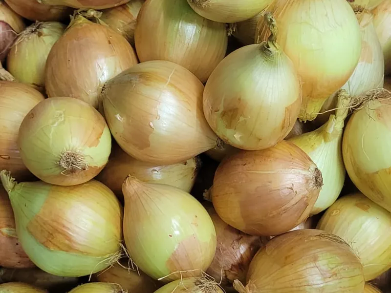 Cebola nacional fresca no Hortifruti Fuad em Pirituba