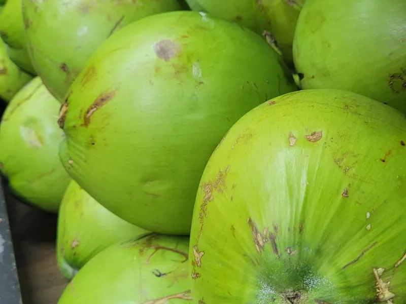 Coco verde fresco no Hortifruti Fuad em Pirituba