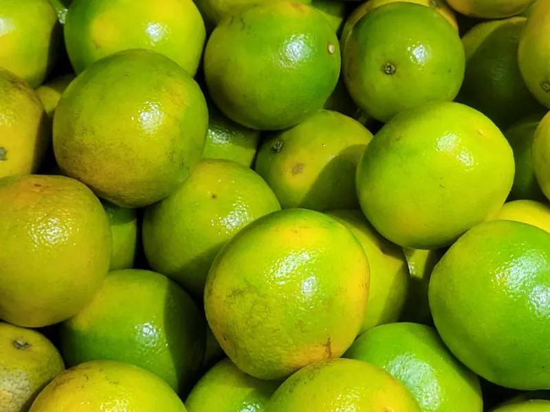 Limão taiti fresco no Hortifruti Fuad em Pirituba