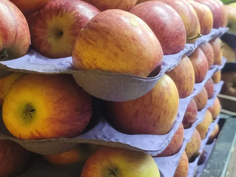 Maçãs Fuji frescas selecionadas no Hortifruti Fuad em Pirituba