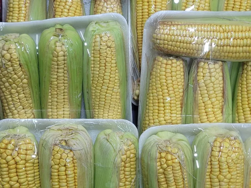 Milho verde em espiga no Hortifruti Fuad em Pirituba