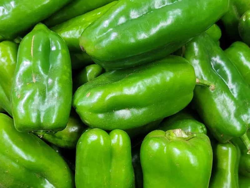 Pimentão verde fresco no Hortifruti Fuad em Pirituba