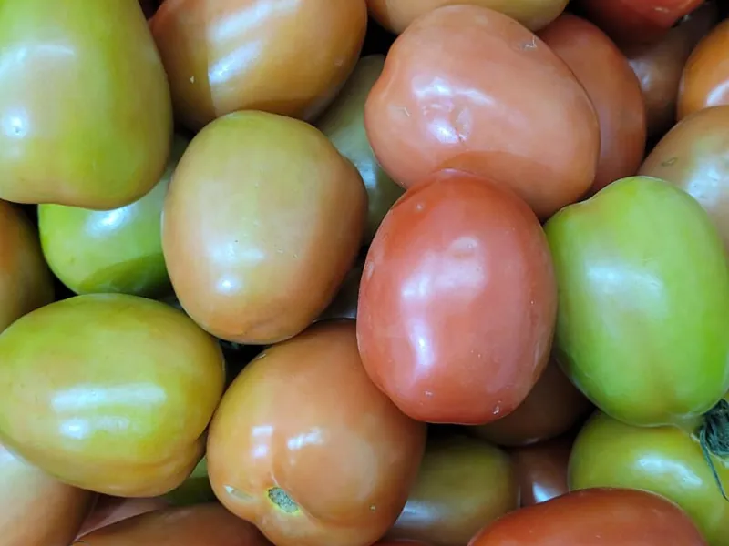 Tomate carmen fresco no Hortifruti Fuad em Pirituba